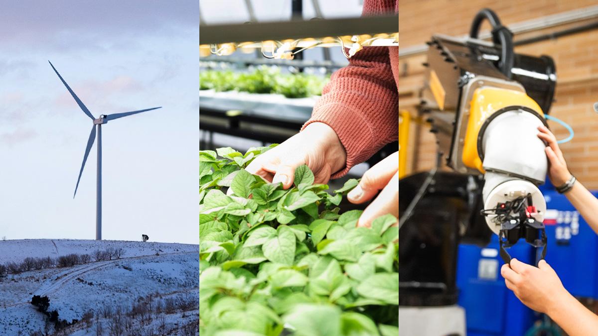 robot hand, hands touching plants, and a windmill